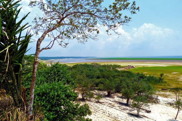 Amazon & Caribbean Isles