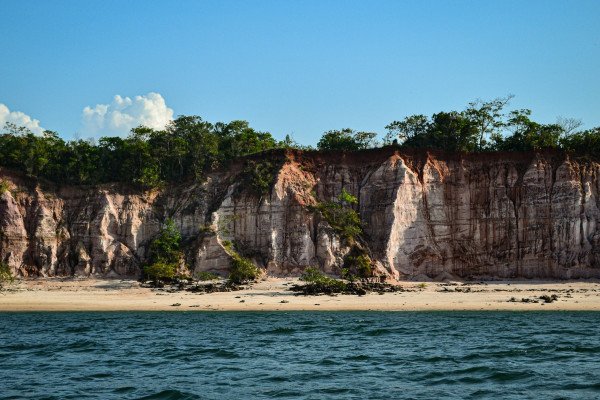 Amazon & Caribbean Isles
