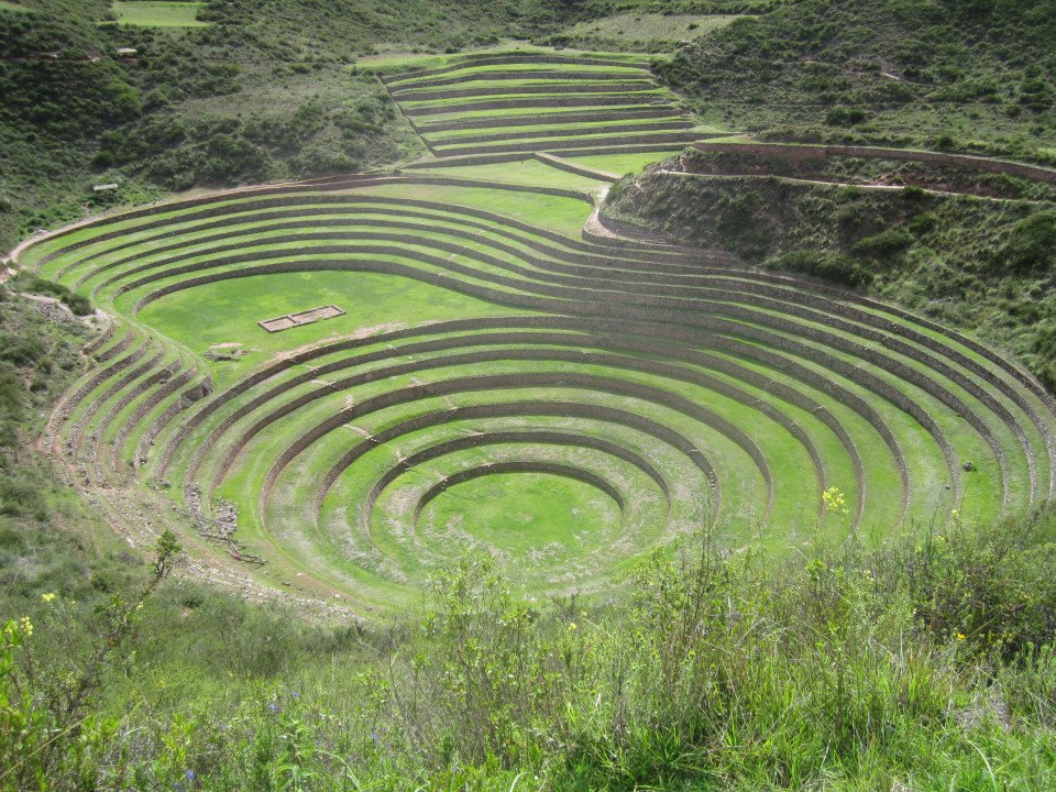 7 Image 7