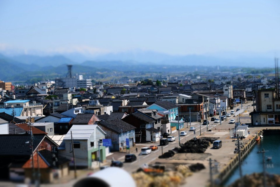 7 Image 7