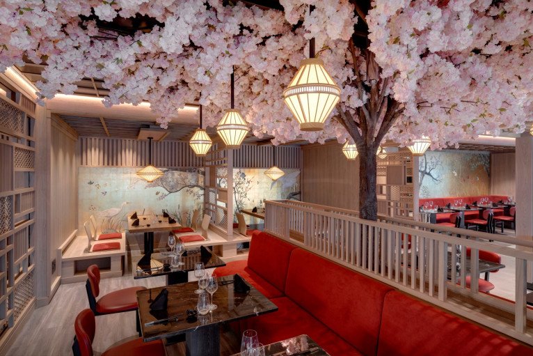 Sakura