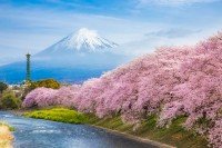 Asia Finest Collection