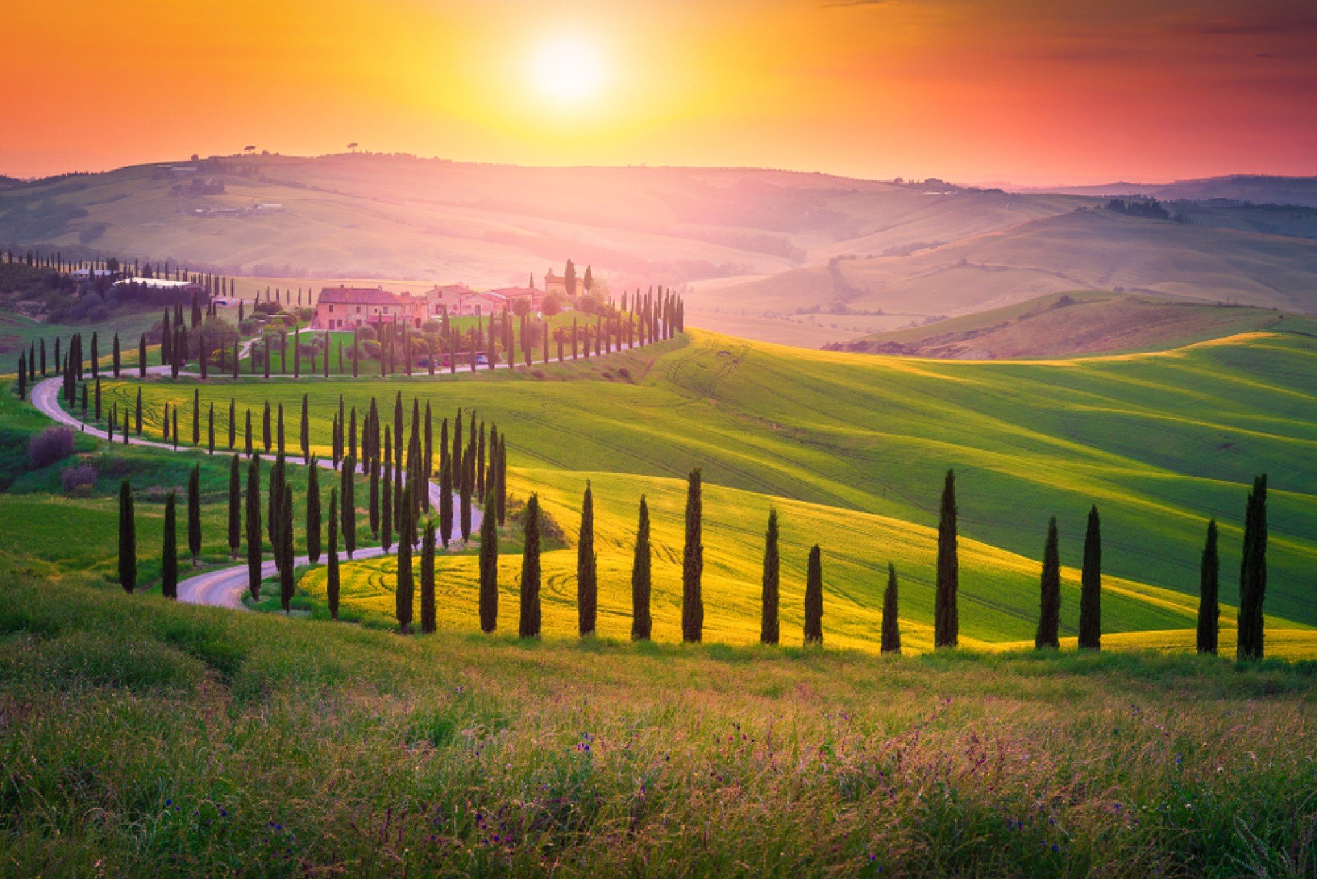 La Dolce VIta