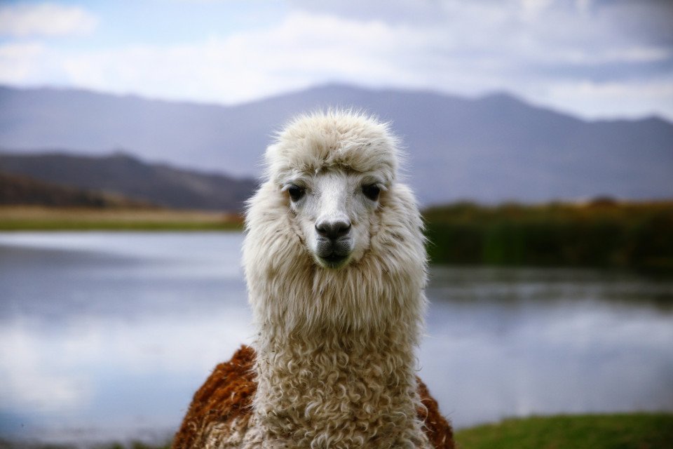 Peru