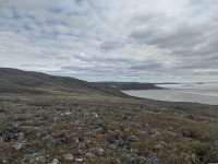 9 Image 9