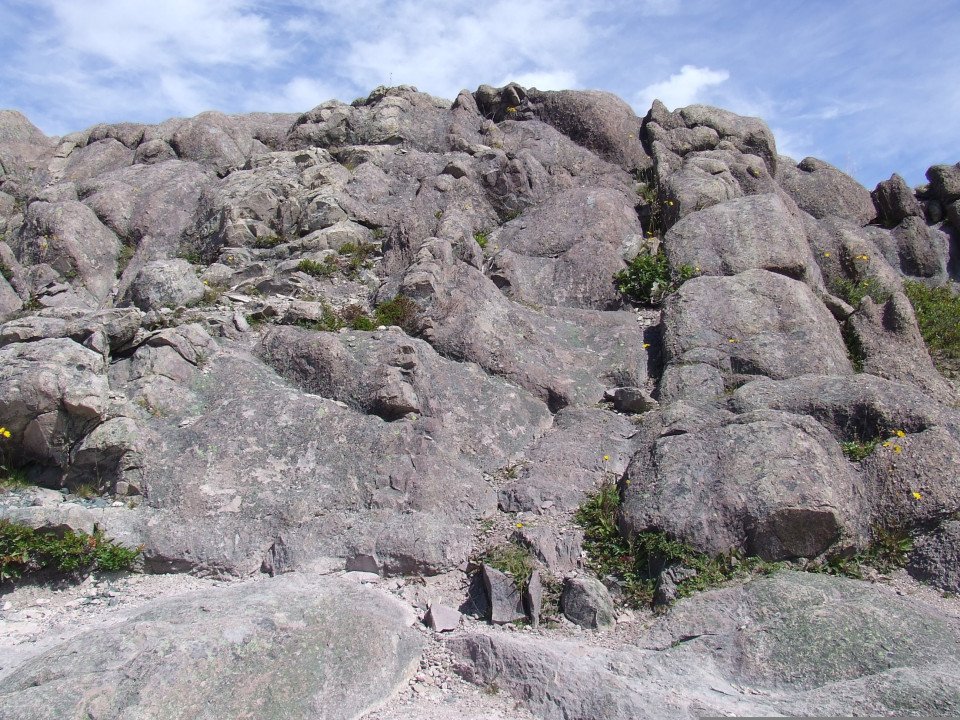 1 Image 1