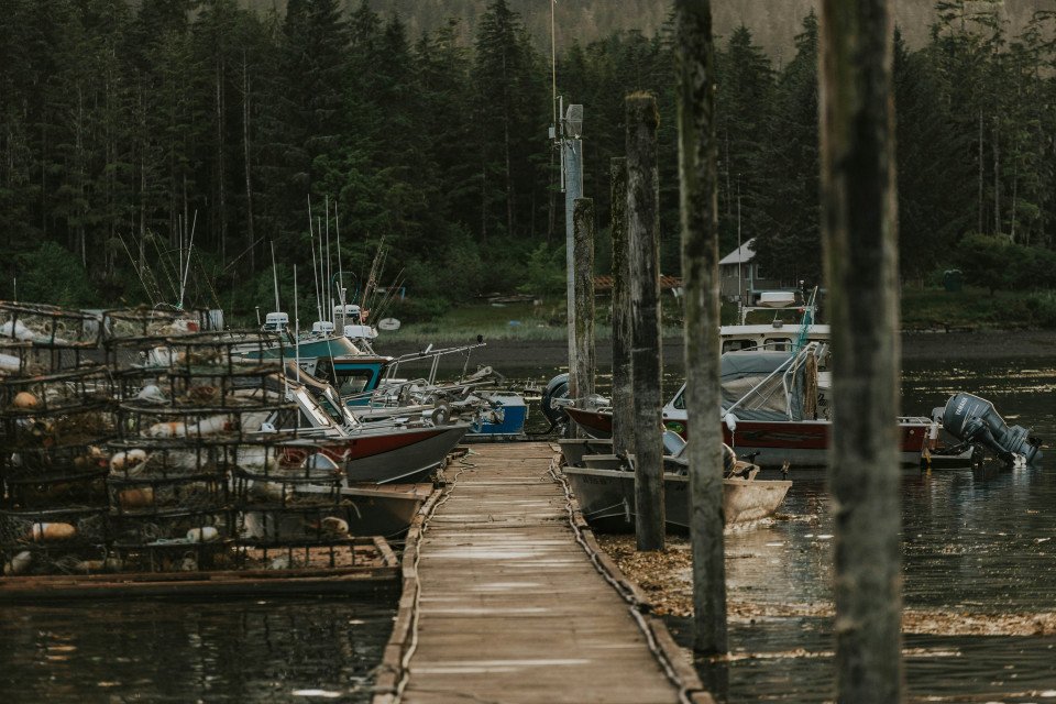 12 Image 12
