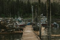 12 Image 12