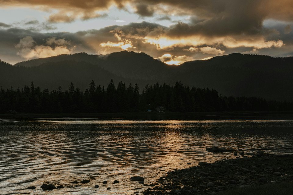 9 Image 9