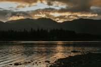9 Image 9