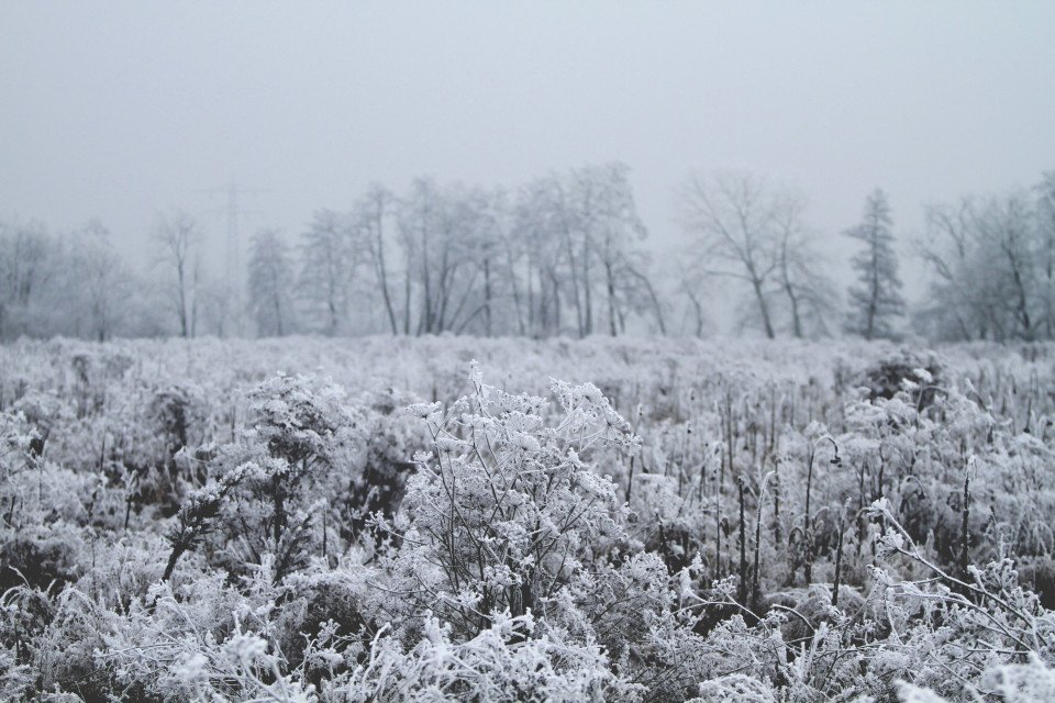 7 Image 7