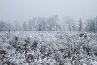 7 Image 7
