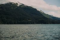 7 Image 7