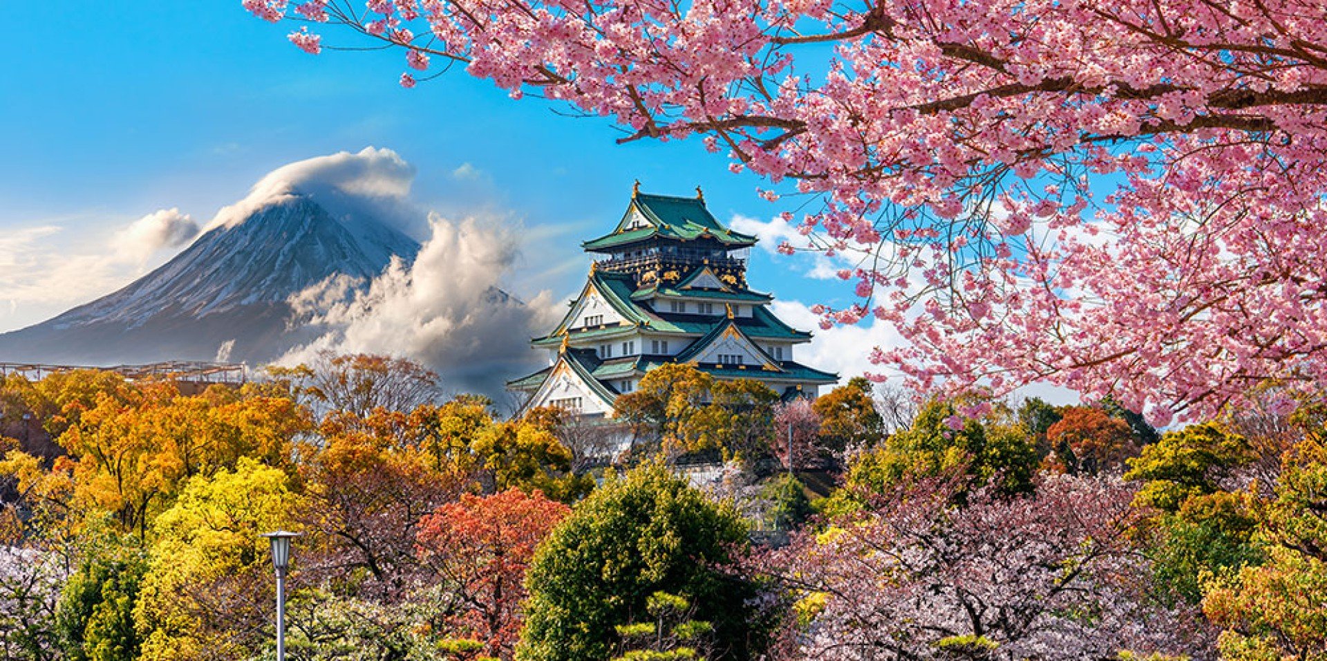 Spotlight on: Asia