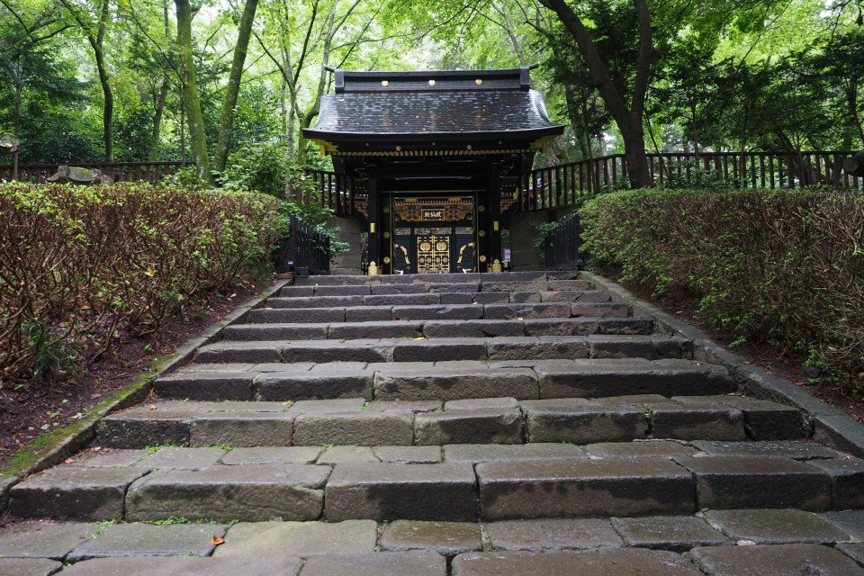 6 Image 6