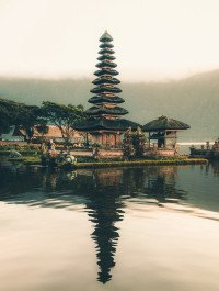 3 Image 3