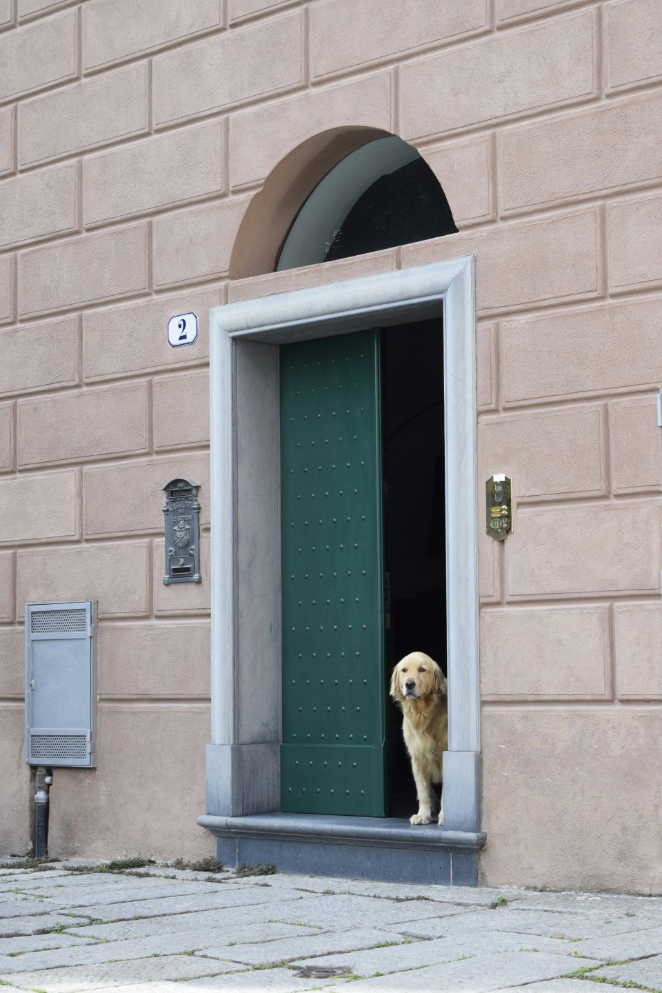 13 Image 13