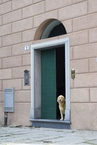 13 Image 13
