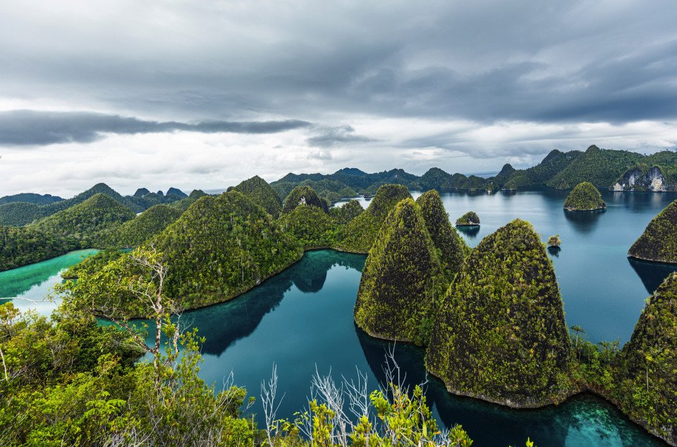 10 Image 10