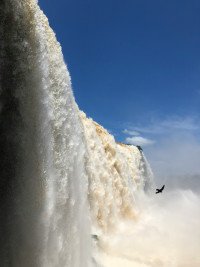 9 Image 9