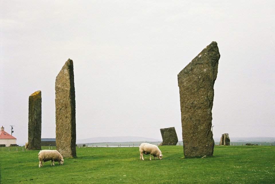 5 Image 5