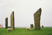 5 Image 5
