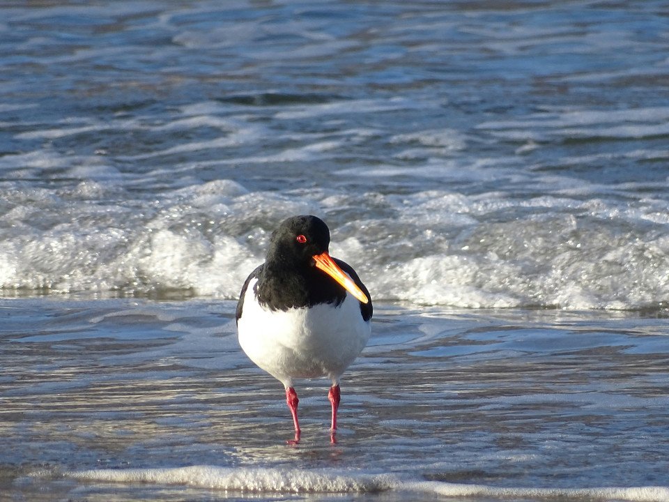 9 Image 9