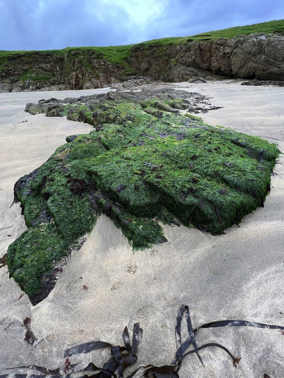 2 Image 2