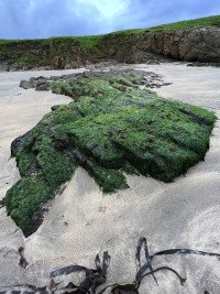 2 Image 2