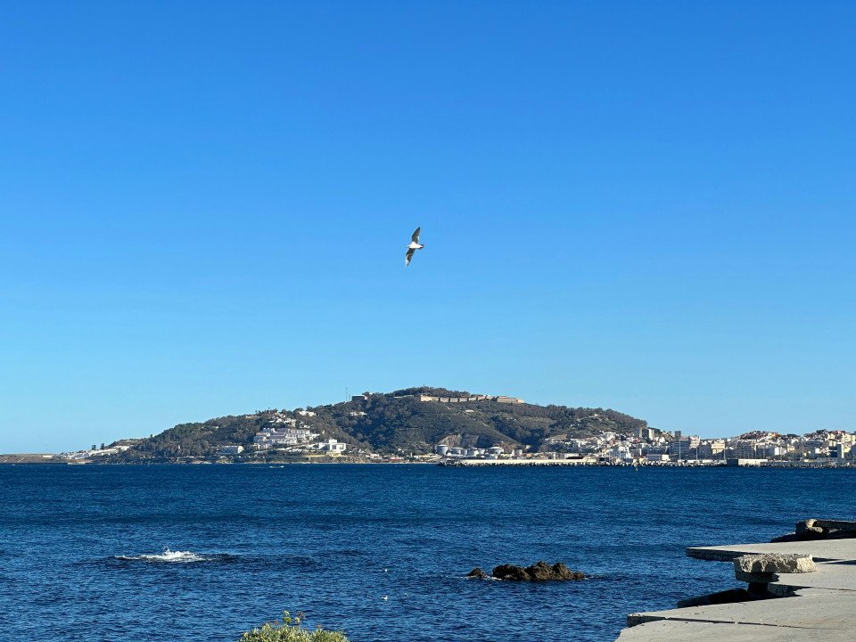 33 Image 33