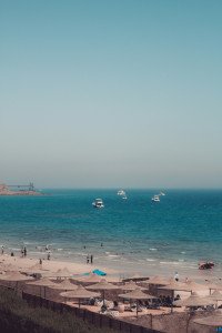 9 Image 9