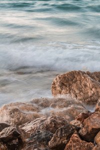8 Image 8