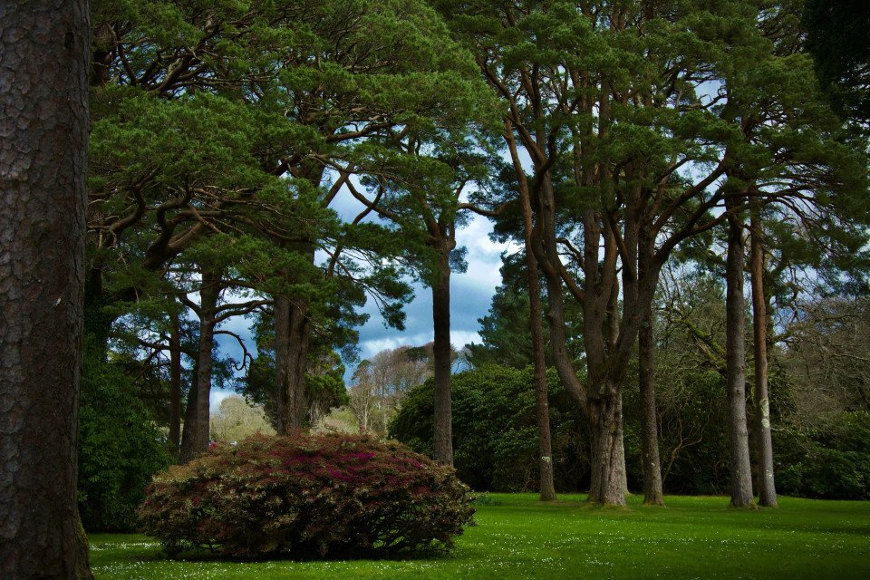 6 Image 6