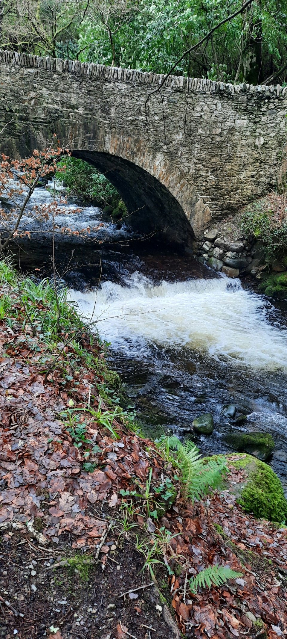 7 Image 7
