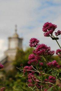14 Image 14