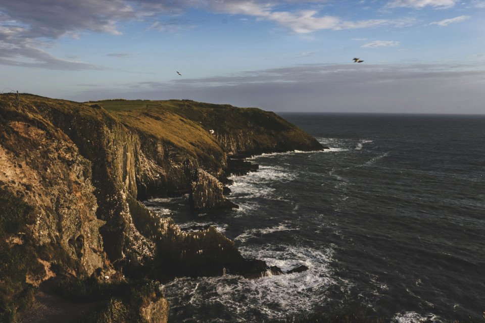15 Image 15
