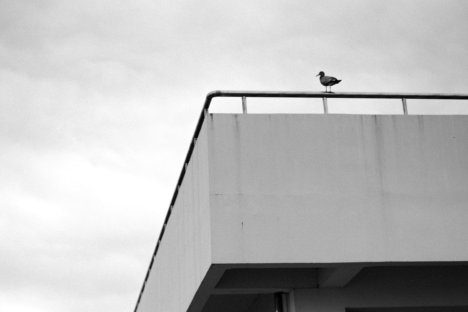 9 Image 9