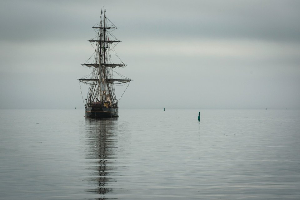8 Image 8