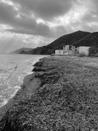 13 Image 13