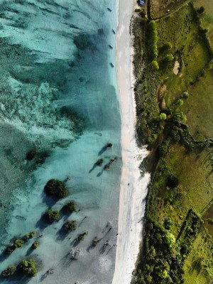 Voyage to Indonesia: Dragons, Reefs, and the Spice Islands – with Smithsonian Journeys