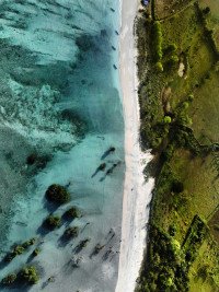 2 Image 2