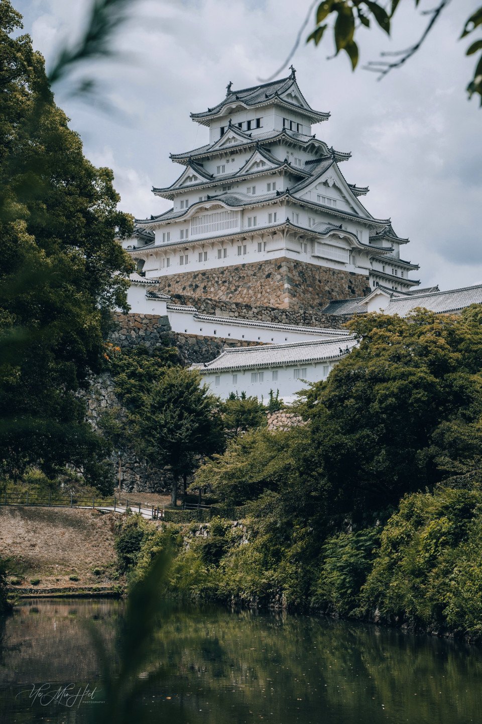 7 Image 7