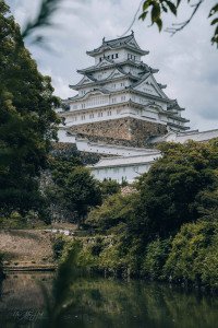 7 Image 7