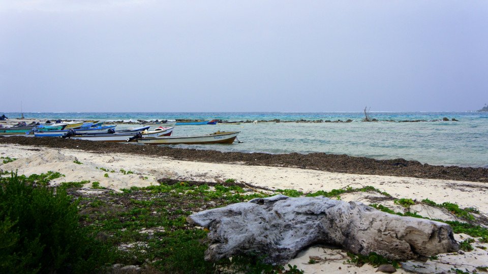 31 Image 31