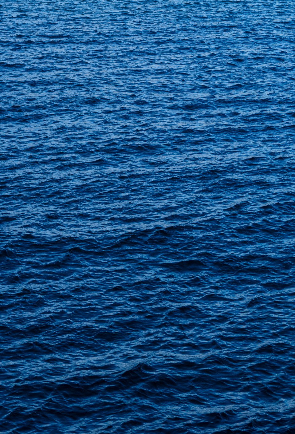 5 Image 5