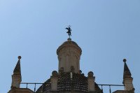 13 Image 13