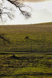 8 Image 8