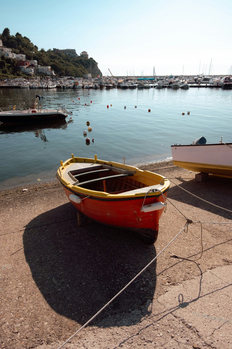 14 Image 14