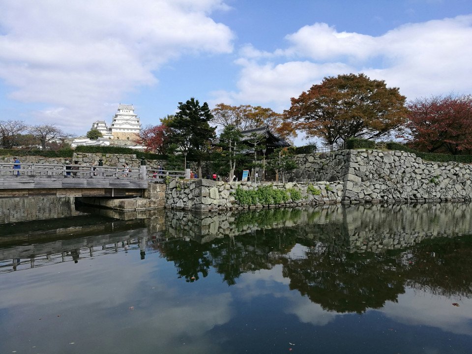7 Image 7