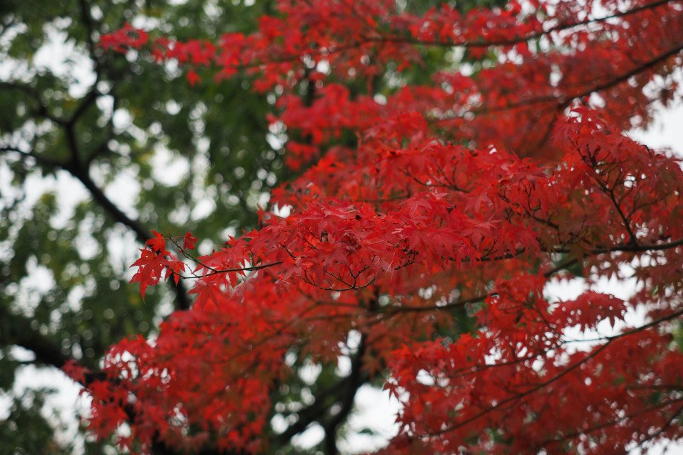 11 Image 11